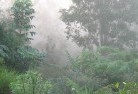 Manukalandscaping-irrigation-4.jpg; ?>